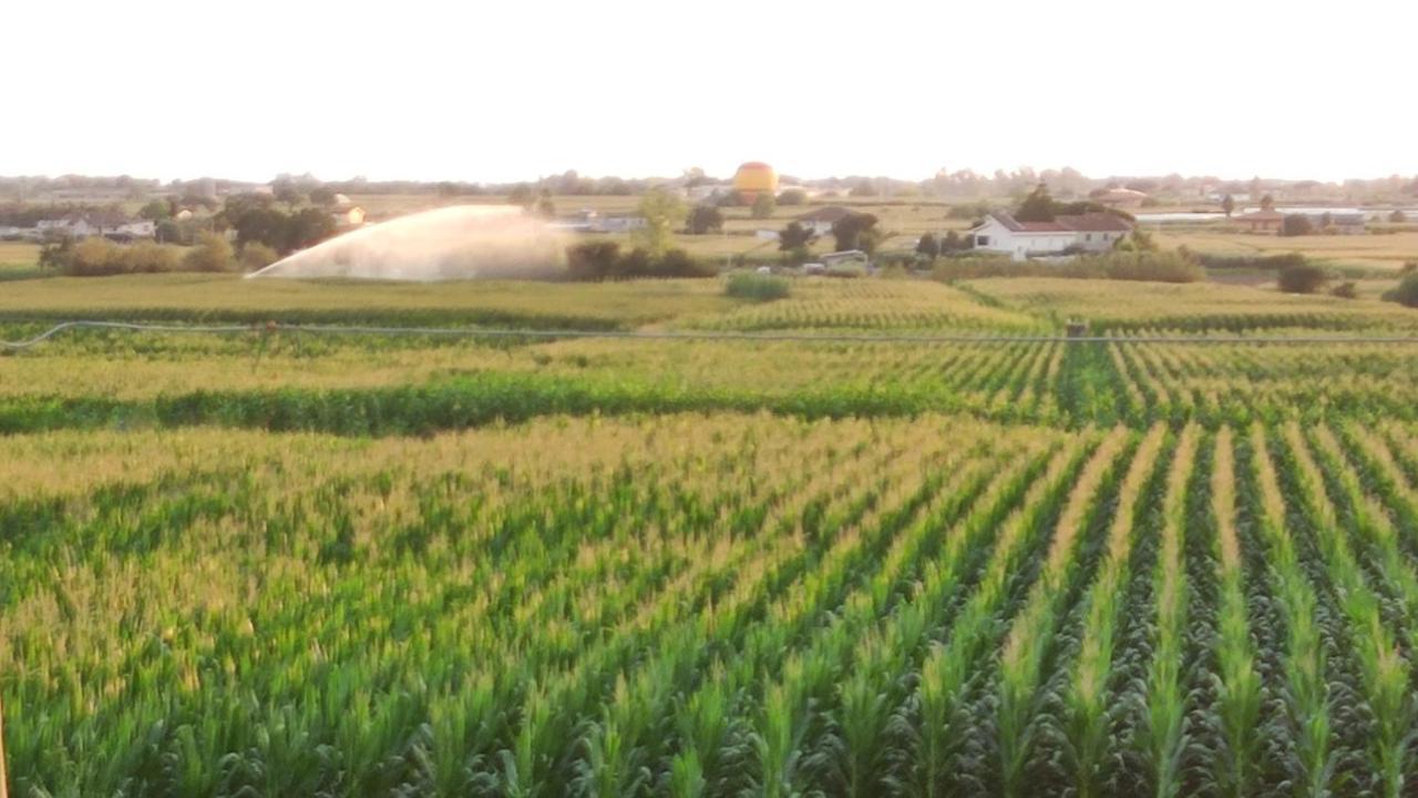 Le Colline Di Paestum Capaccio Exterior foto