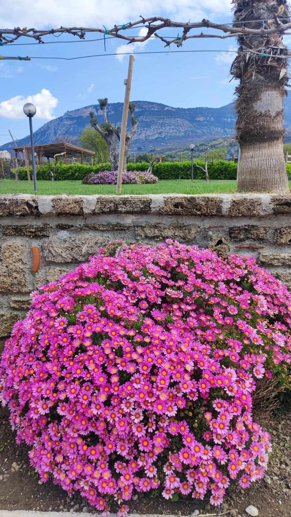 Le Colline Di Paestum Capaccio Exterior foto